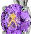 925 Sterling Silver Aquarius Necklace Zodiac Pendant 24k Gold Inscribed on Crystal - NanoStyle Jewelry