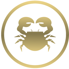 Cancer Zodiac Jewelry