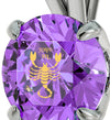 925 Sterling Silver Scorpio Necklace Zodiac Pendant 24k Gold Inscribed on Crystal - NanoStyle Jewelry